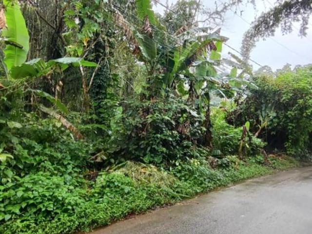 Terreno venda em Ubatuba