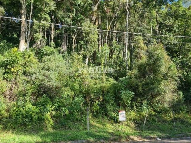 Terreno venda em Região Geográfica Imediata de Caxias do Sul, Canela