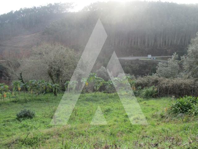 Terreno venda em Anadia, Aveiro