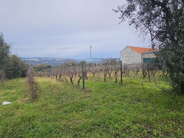 Terreno venda em Casal Meão, Viseu