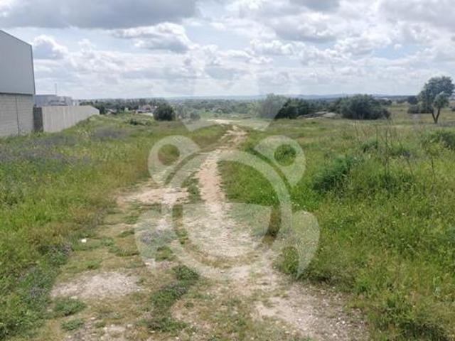 Terreno venda em Reguengos de Monsaraz