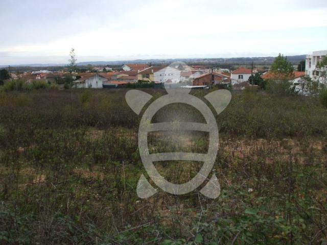 Terreno venda em Coimbrã, Ameal