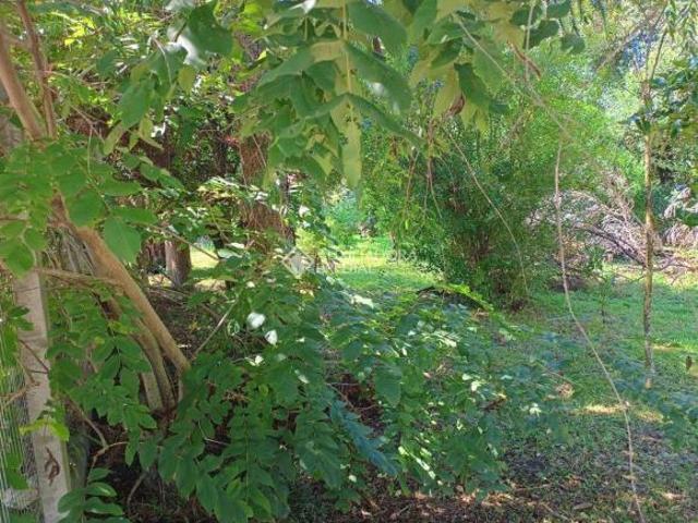 Terreno venda em Região Geográfica Imediata de Caxias do Sul, Canela