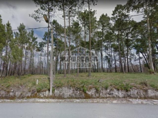 Terreno venda em Mamodeiro, Aveiro