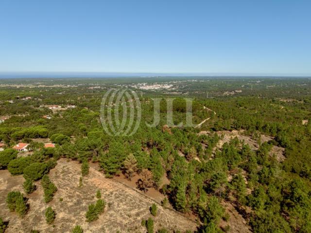 Terreno venda em Melides, Grândola