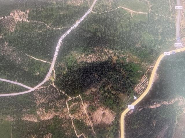 Terreno venda em Chão de Lopes Grande, Mação