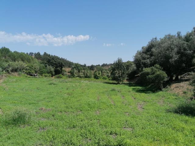 Terreno venda em Madeiras, Praia Do Ribatejo