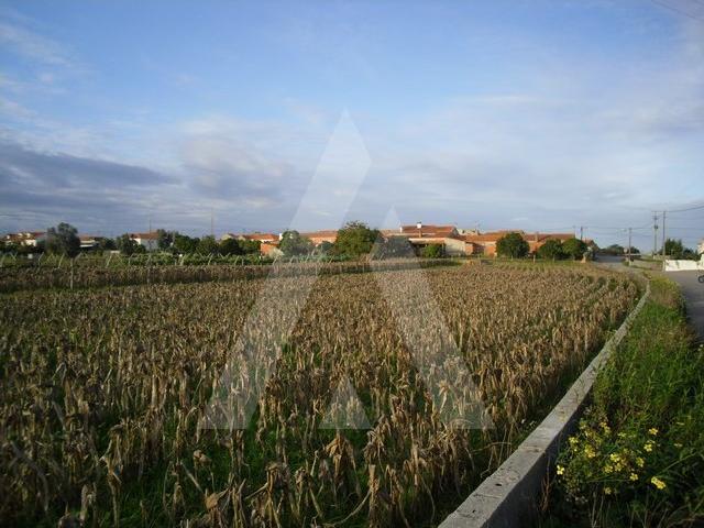 Terreno venda em Oliveirinha, Aveiro
