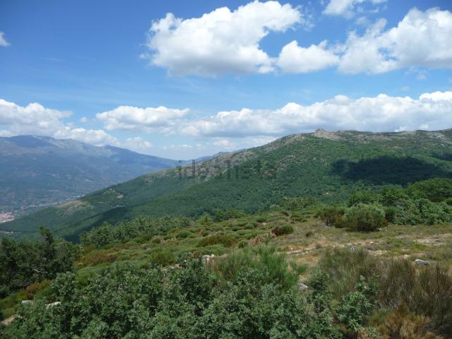 Terreno en venta en Navaconcejo, Extremadura