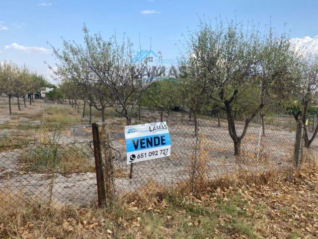 Terreno en venta en Navalmoral De La Mata, Extremadura