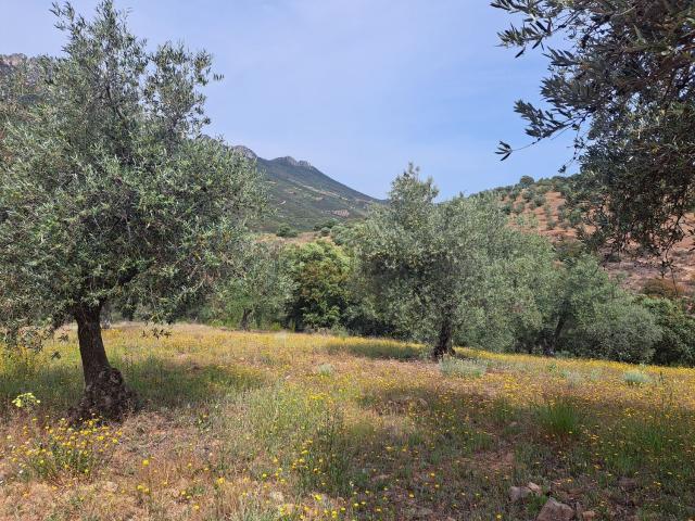 Terreno en venta en Navalvillar De Ibor, Extremadura