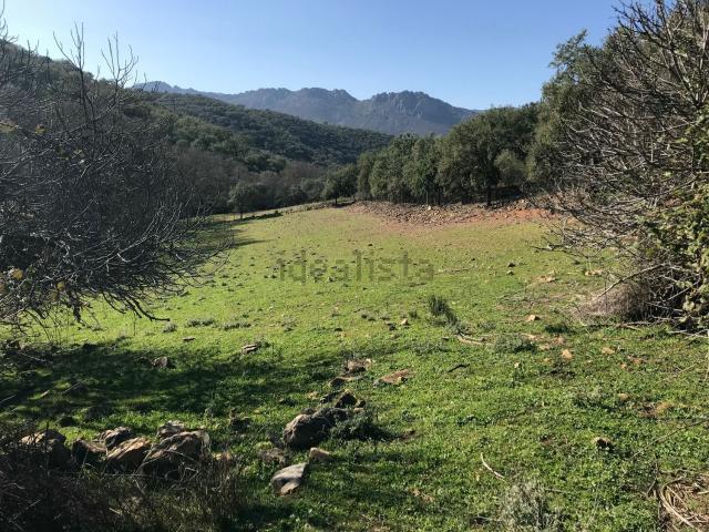 Terreno en venta en Navalvillar De Ibor, Extremadura