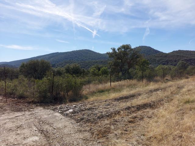 Terreno en venta en Navas De Estena, Ciudad Real
