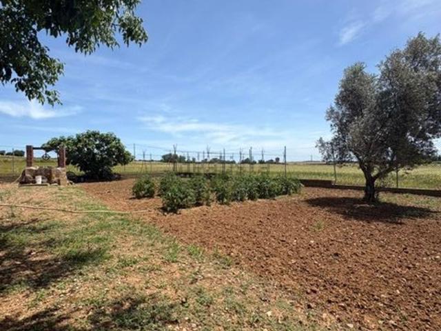 Terreno en venta en Alt Empordà, Catalunya