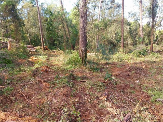 Terreno en venta en Alt Empordà, Catalunya