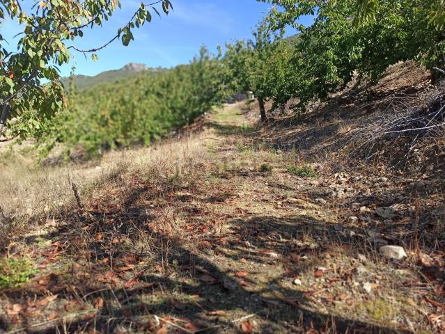 Terreno en venta en Navezuelas, Extremadura