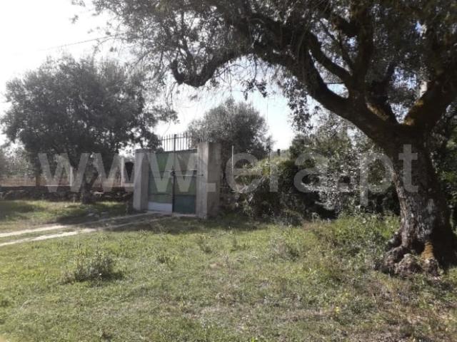 Terreno venda em Vilar Seco, Nelas