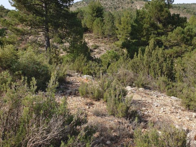 Terreno en venta en Nerpio, Castilla-La Mancha
