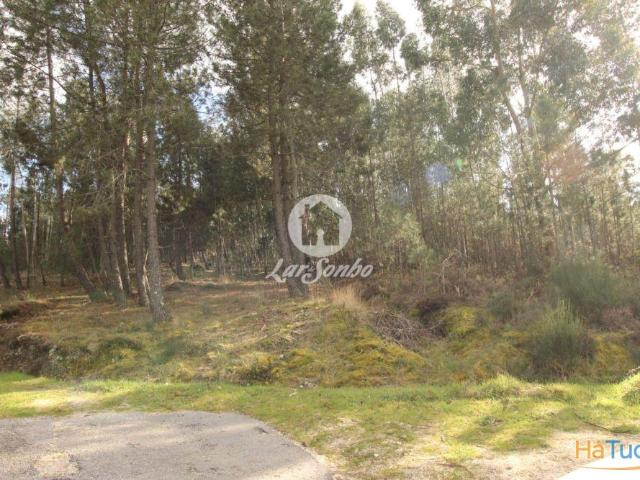 Terreno venda em Celorico De Basto, Braga