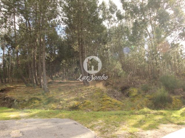 Terreno venda em Celorico De Basto, Braga