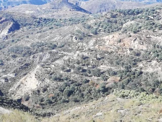 Terreno en venta en Laroles, Comarca de la Alpujarra Granadina