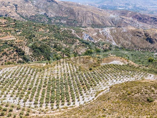 Terreno en venta en Laroles, Comarca de la Alpujarra Granadina
