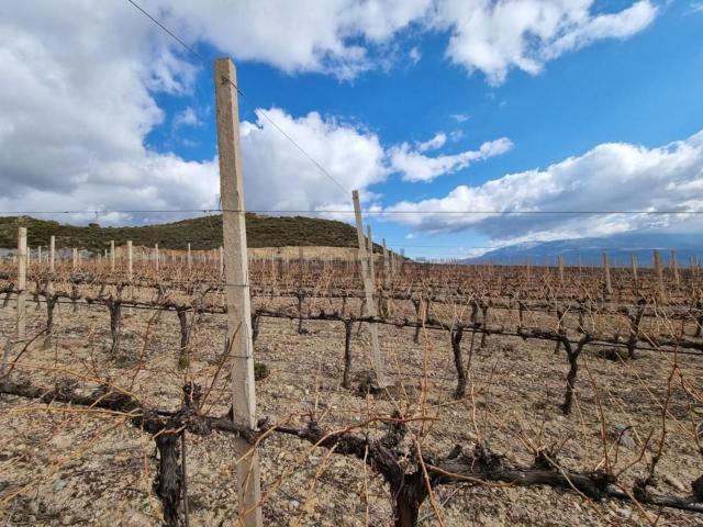 Terreno en venta en Laroles, Comarca de la Alpujarra Granadina