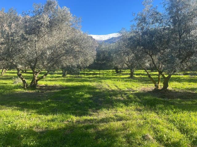 Terreno en venta en Comarca del Valle de Lecrín, Andalucía