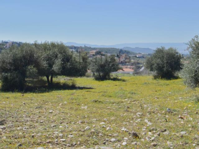 Terreno en venta en Comarca de la Vega de Granada, Andalucía