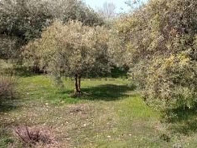 Terreno en venta en Comarca de la Vega de Granada, Andalucía
