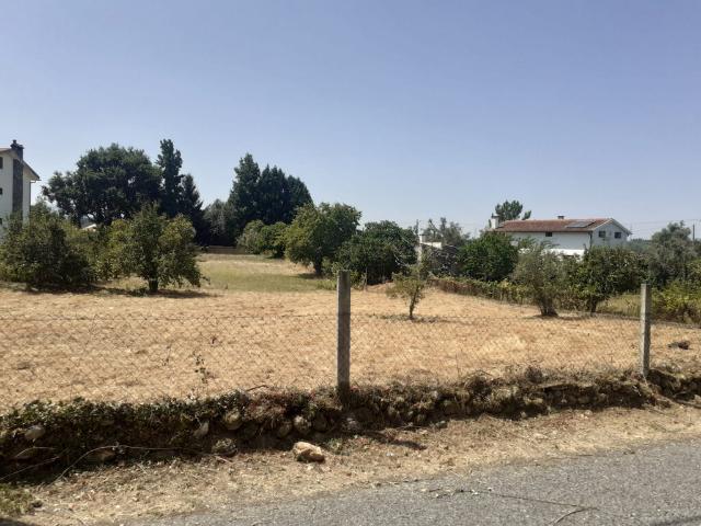 Terreno venda em Arganil, Coja