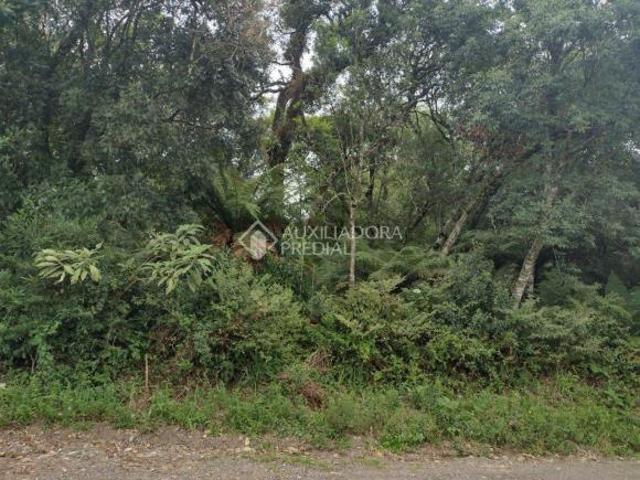 Terreno venda em Região Geográfica Imediata de Caxias do Sul, Canela