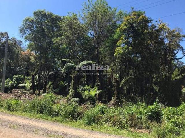 Terreno venda em Canela