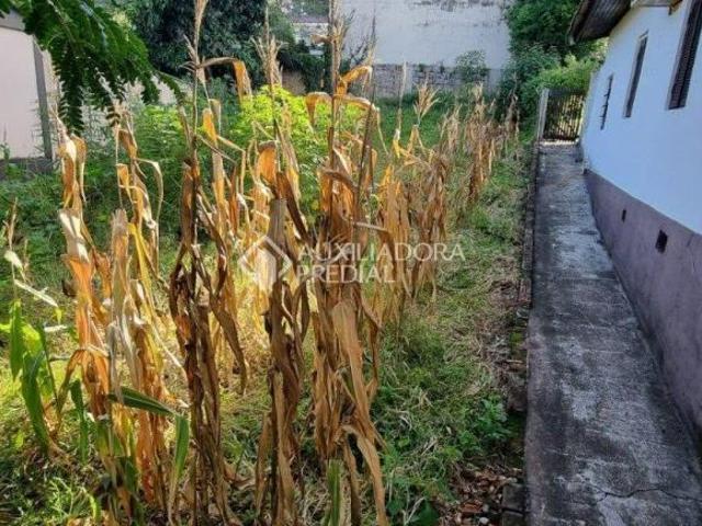 Terreno venda em Lajeado