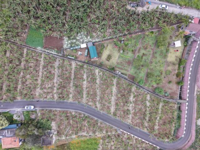 Terreno venda em Arco Da Calheta, Ilha Da Madeira