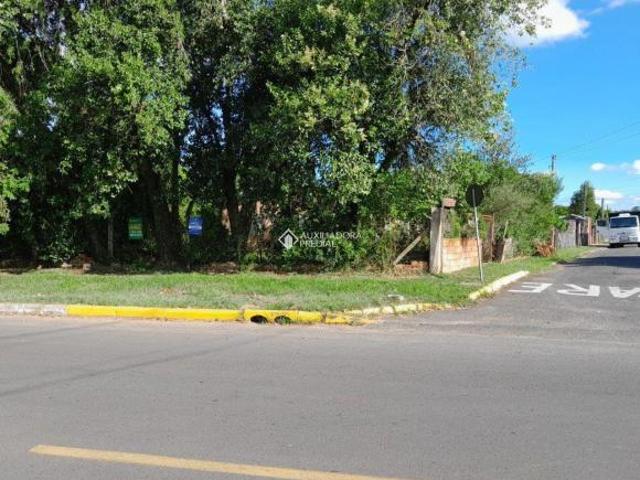 Terreno venda em Região Geográfica Imediata de Montenegro, Região Metropolitana de Porto Alegre