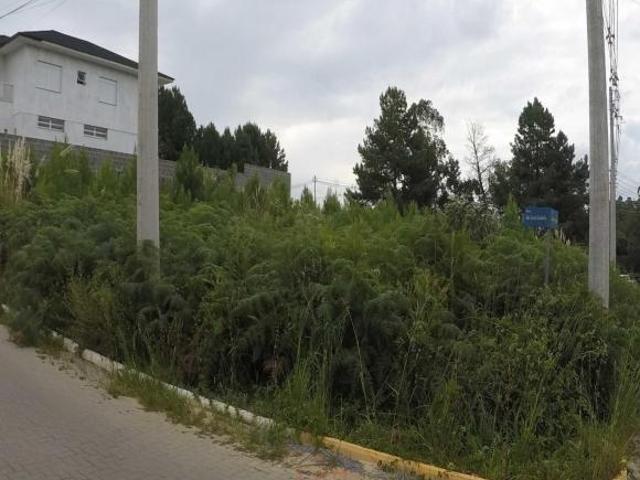 Terreno venda em Região Geográfica Imediata de Caxias do Sul, Farroupilha
