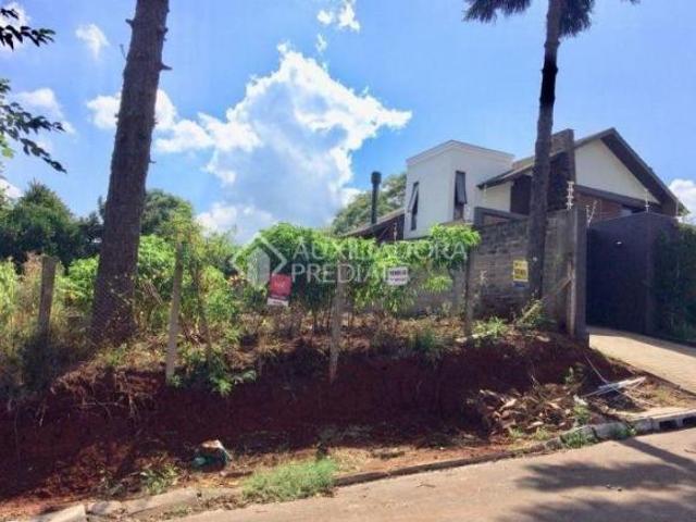 Terreno venda em Teutônia