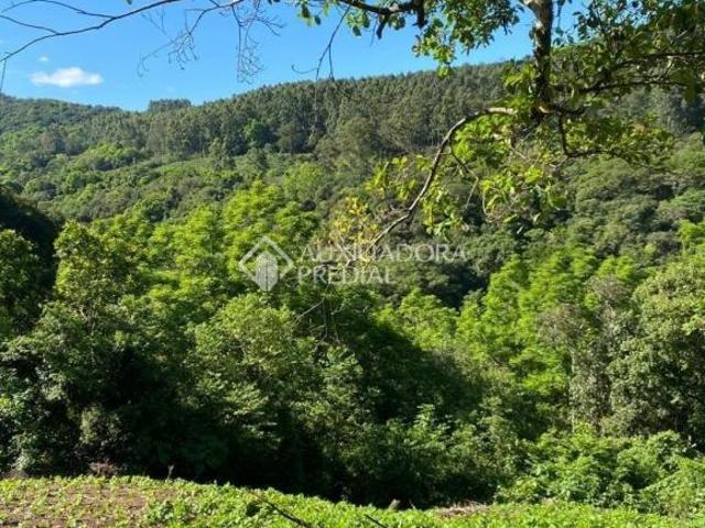 Terreno venda em Região Geográfica Imediata de Taquara - Parobé - Igrejinha, Região Metropolitana de Porto Alegre
