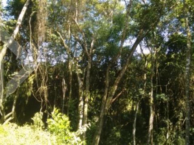 Terreno venda em Região Geográfica Imediata de Porto Alegre, Região Metropolitana de Porto Alegre