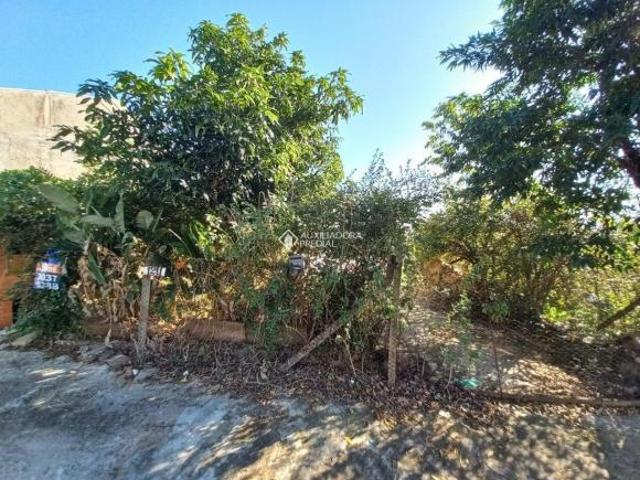 Terreno venda em Região Geográfica Imediata de Novo Hamburgo - São Leopoldo, Região Metropolitana de Porto Alegre