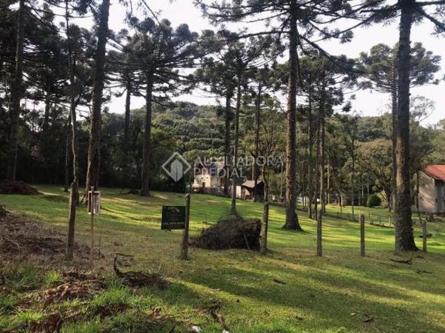 Terreno venda em Canela