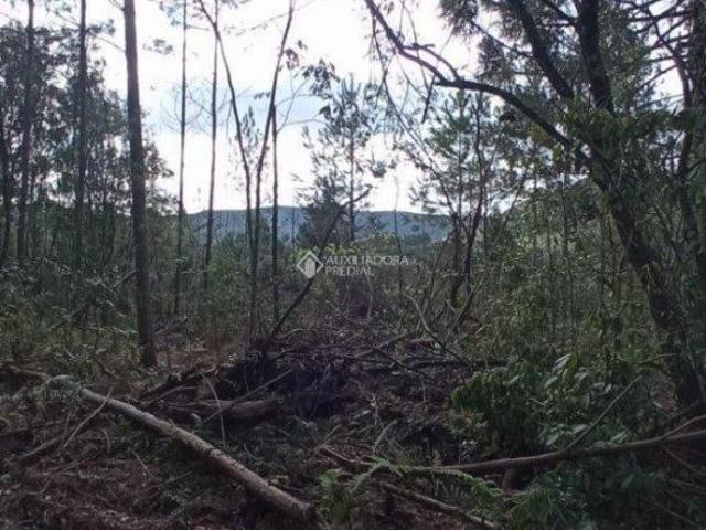 Terreno venda em Região Geográfica Imediata de Caxias do Sul, Gramado