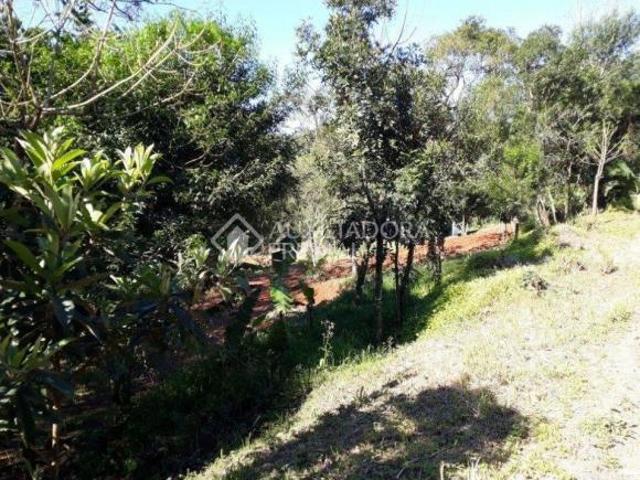 Terreno venda em Região Geográfica Imediata de Redenção-Acarape, Ocara