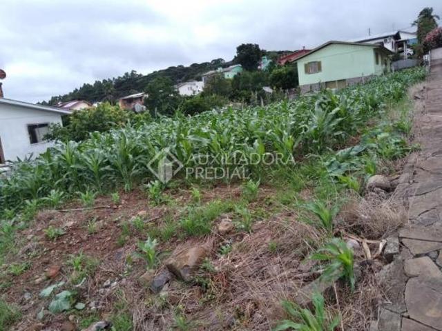 Terreno venda em Região Geográfica Imediata de Soledade, São José do Herval
