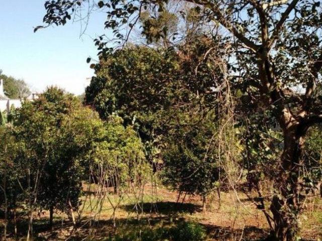 Terreno venda em Região Geográfica Imediata de Lajeado, Lajeado