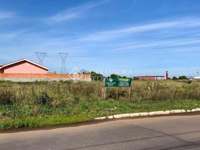 Terreno venda em Sede, Eldorado do Sul