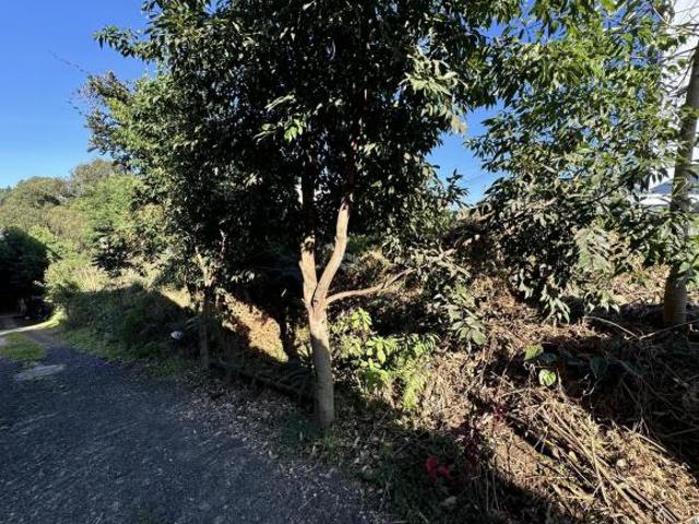 Terreno venda em Região Geográfica Imediata de Caxias do Sul, Caxias do Sul