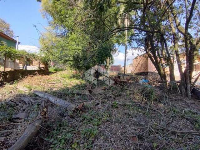 Terreno venda em Ivoti