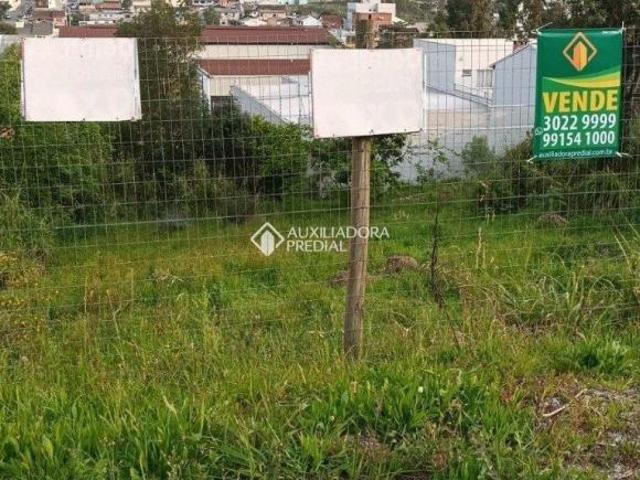 Terreno venda em Região Geográfica Imediata de Caxias do Sul, Caxias do Sul